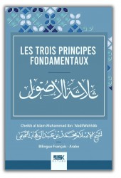 40 Hadiths an-Nawawi - Imam an-Nawawi (mini-format)