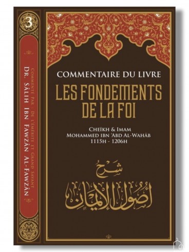 Commentaire Du Livre Les...