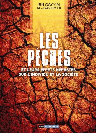 Les Péchés et leurs effets...